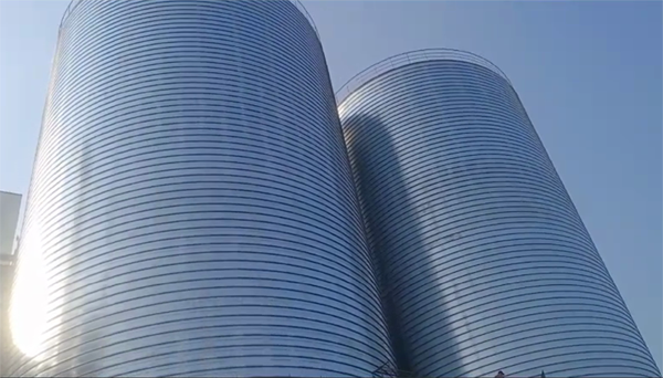 扎赉特2座混凝土高架卷板仓